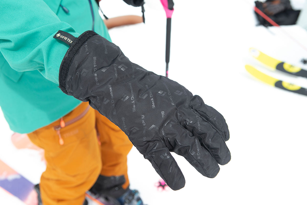 Black Diamond Guide Gloves (Gore-Tex liner)
