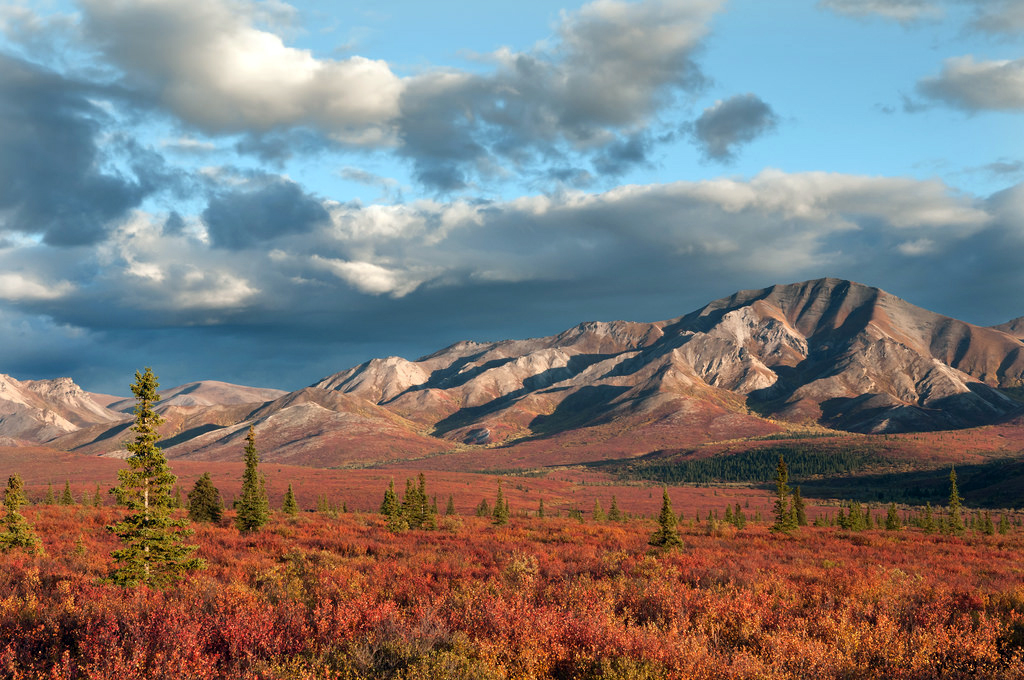 Denali National Park in fall