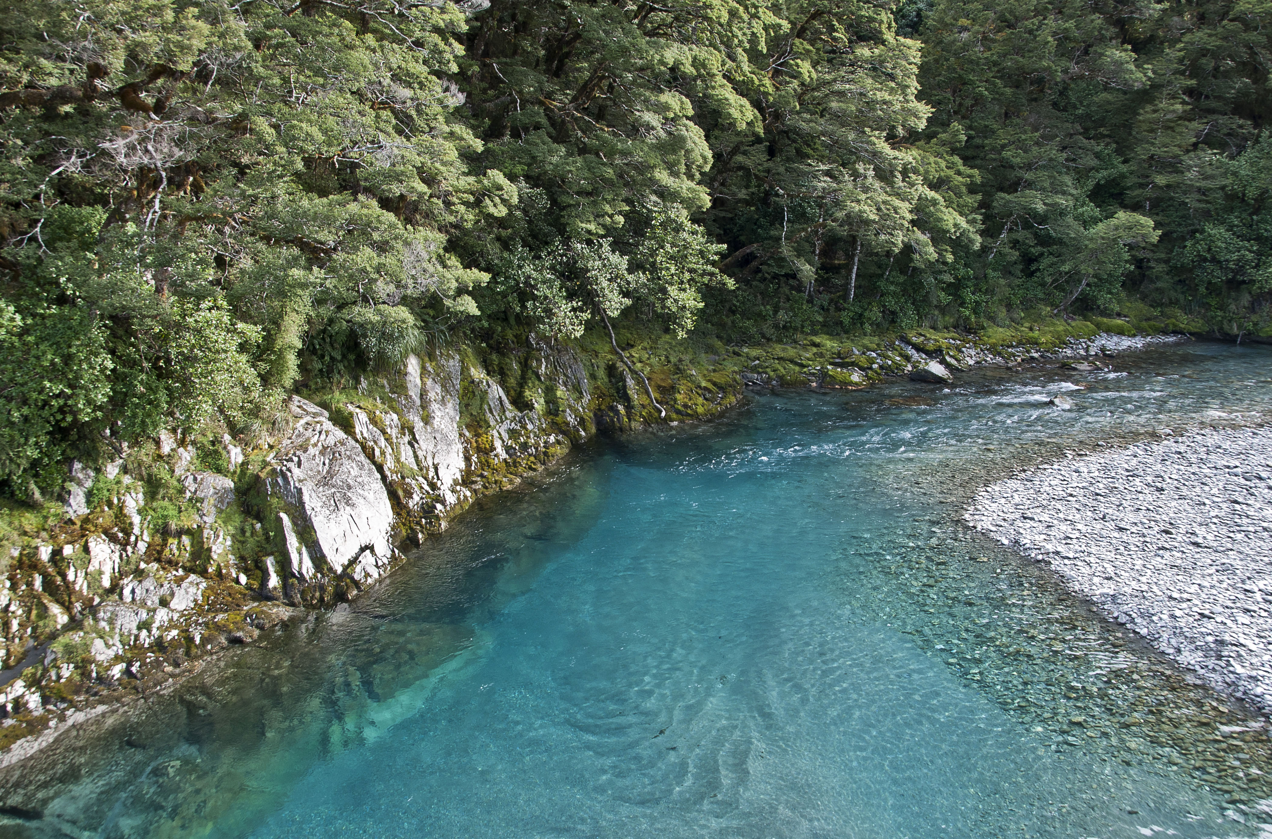 West Coast New Zealand - Blue Pools 