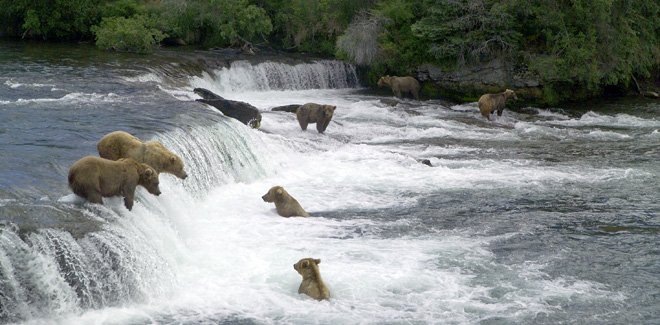 Southwest Alaska Switchback Travel