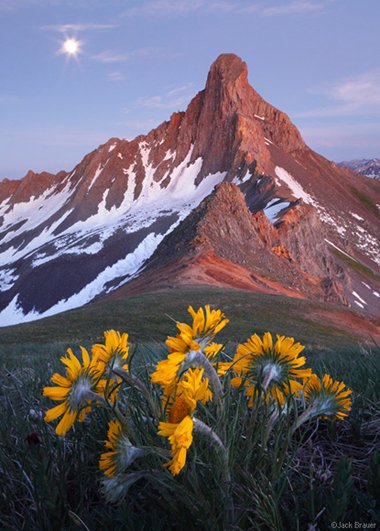 "Wetterhorn Moonflowers" - Uncompahgre Wilderness, Colorado Wetterhorn Peak - Colorado