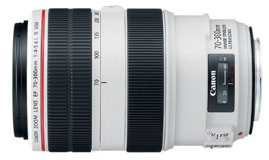 Canon 70-300mm f/4 lens