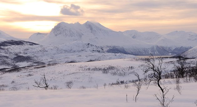 Роскошные пейзажи Норвегии - Страница 4 Norway%20-%20Winter%20near%20Troms%C3%B8