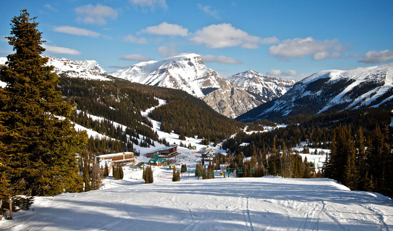 Beginner Skis (resort)