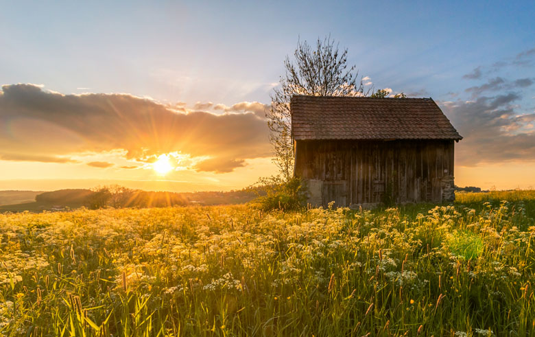 Canon 10-18mm lens nature photo