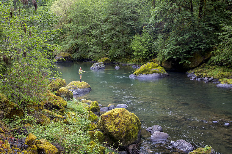 Fly Rod