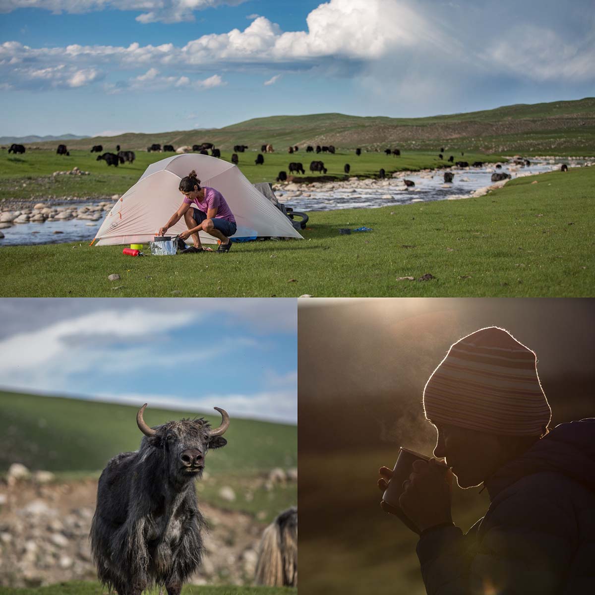 Mongolia campsite by river