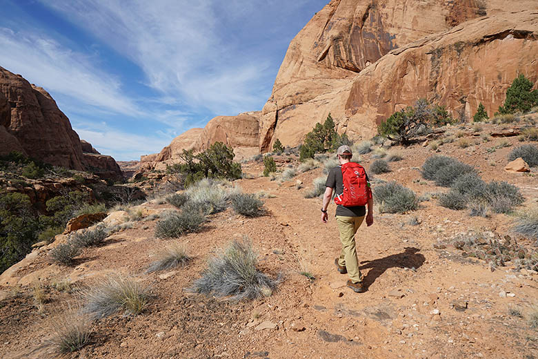 Osprey Talon 22 daypack (hiking in Utah)