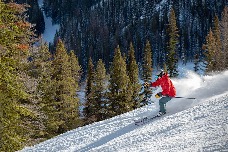 All-Mountain Ski