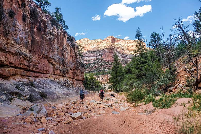 Dark Canyon Wilderness On Location