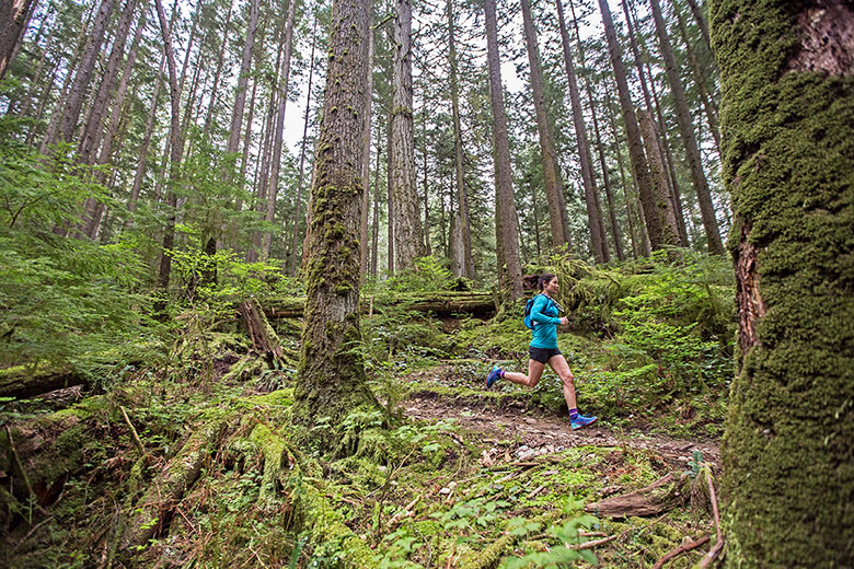 La Sportiva Bushido II trail running shoe (in forest)