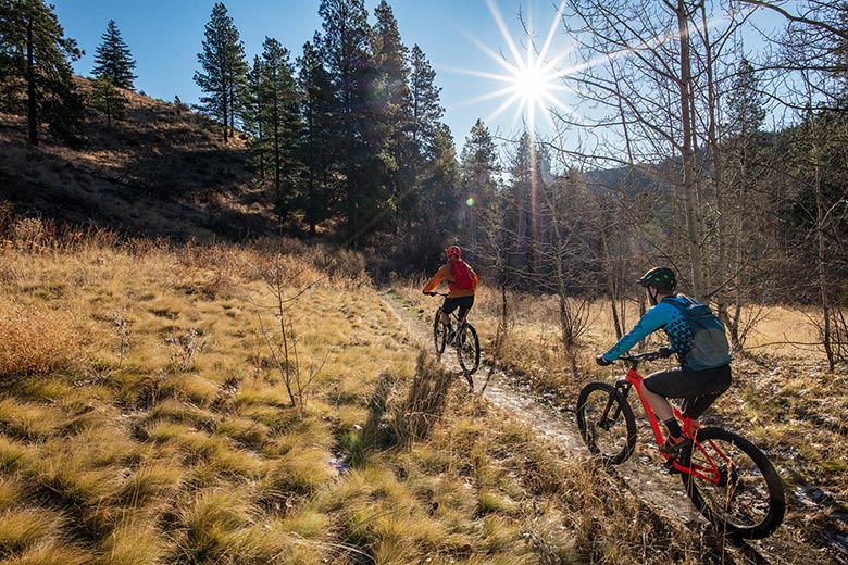 Mountain Bikes Pricing