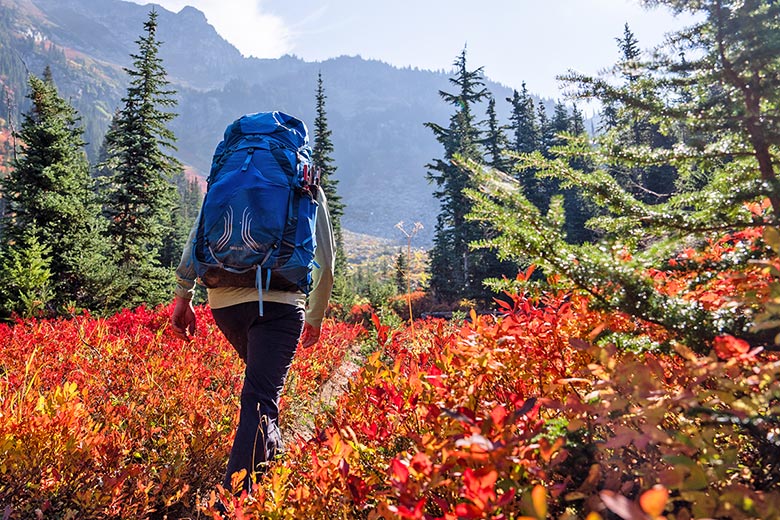 Osprey Exos 58 (hiking through fall colors)