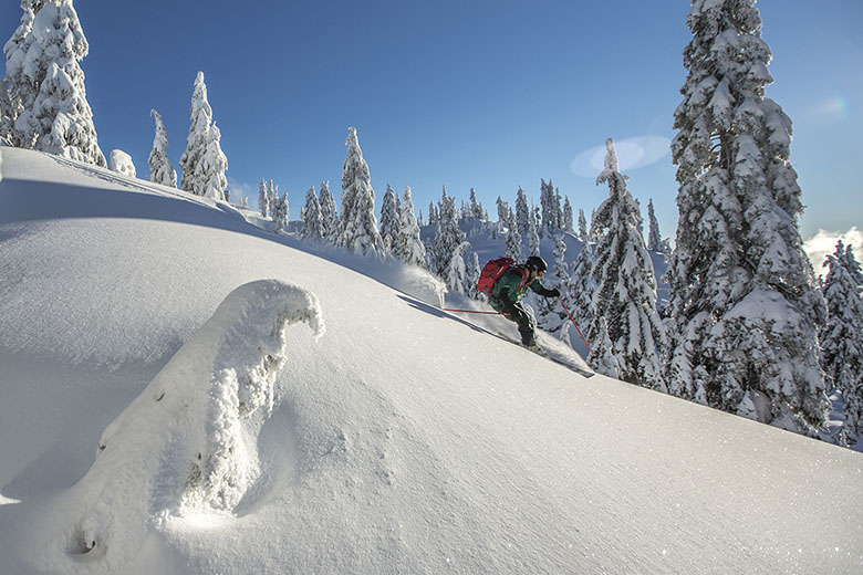 Patagonia ski jacket (turning in powder)