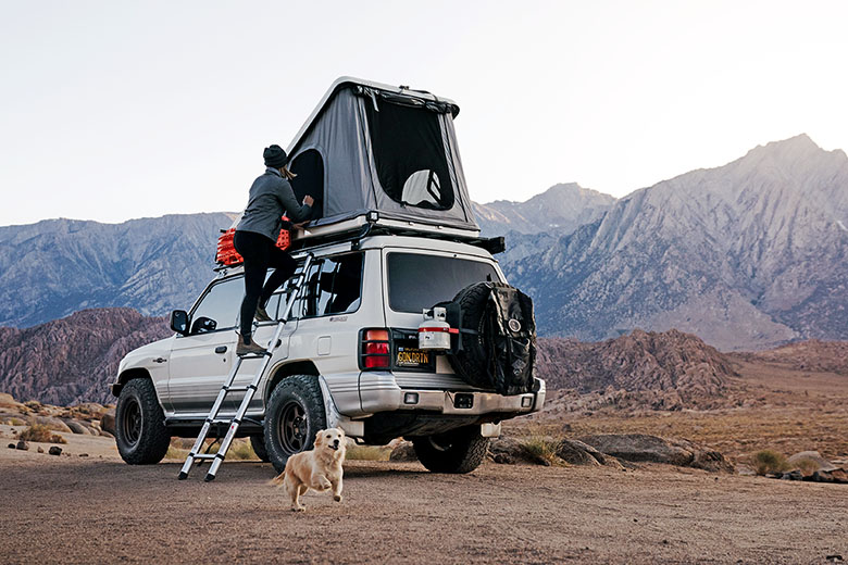 Roofnest Sparrow Eye rooftop tent (climbing ladder and dog)