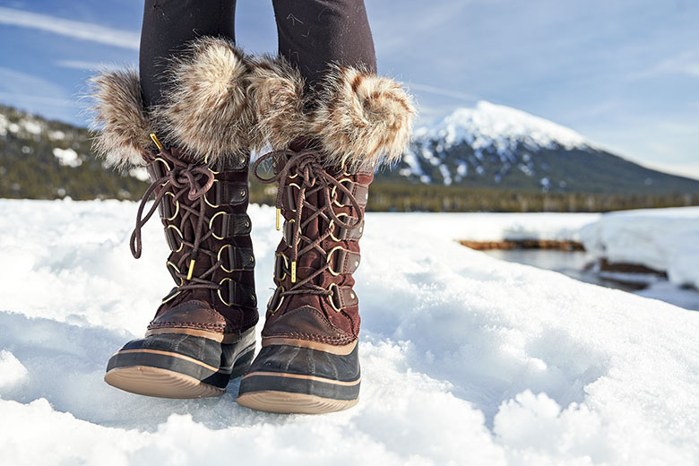 Sorel Joan of Arctic (standing in snow)