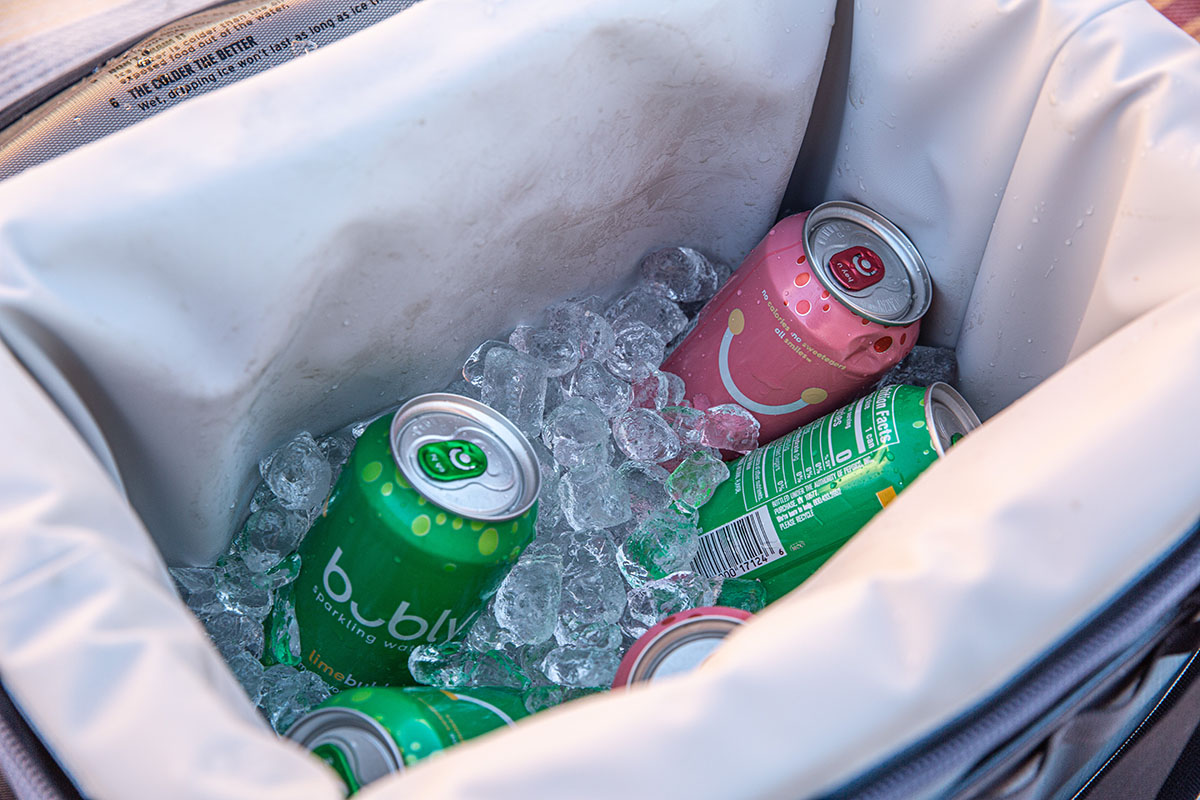 Backpack cooler (ice inside cooler)