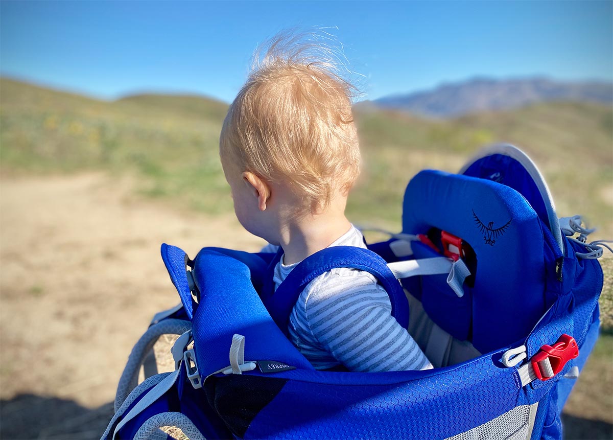 toddler carrying harness