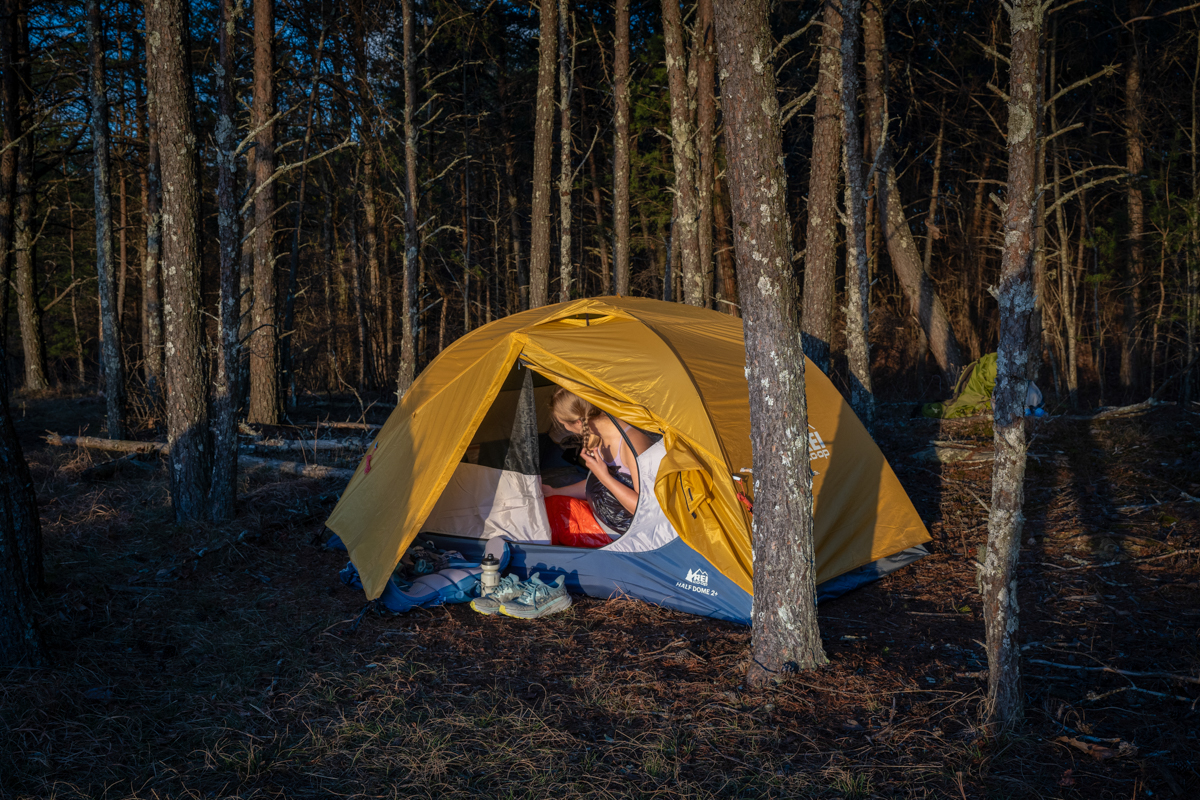 Budget Backpacking Tents (REI Half Dome SL%2B in the woods)