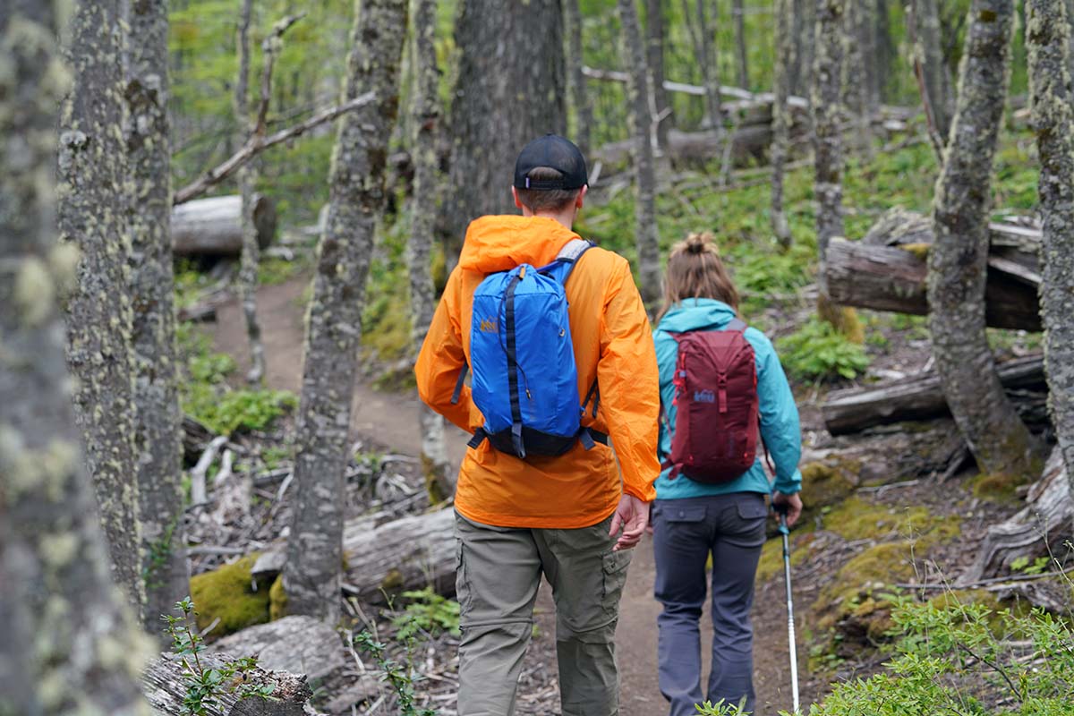 Daypacks (REI Co-op Flash 18 and Flash 22 hiking in forest)