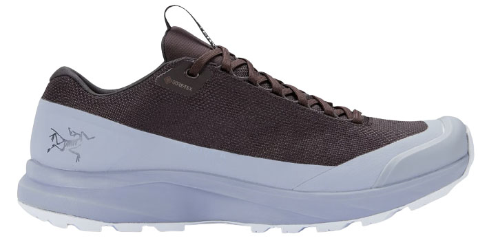 Arc'teryx Aerios FL 2 GTX (men's hiking shoe)