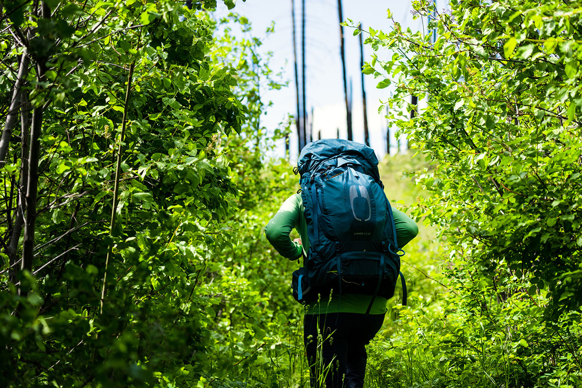 Osprey Atmos AG 65 backpacking back (dense forest)