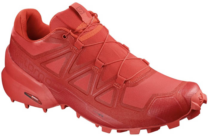 salomon vs asics trail running