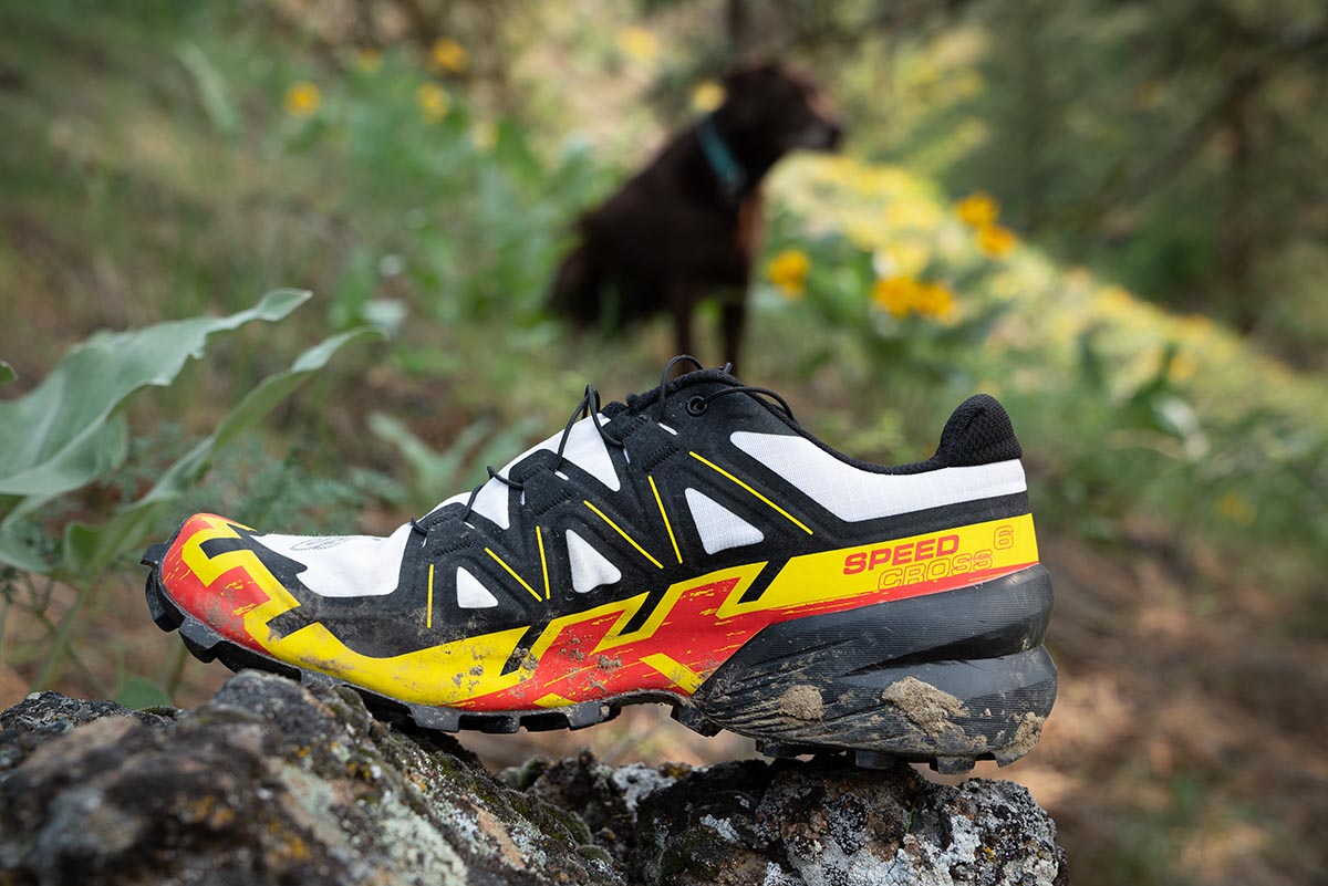 7 Best Salomon Trail Running Shoes in 2024