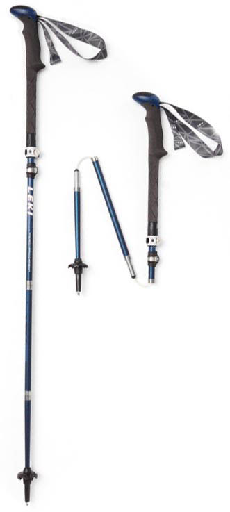 best affordable trekking pole