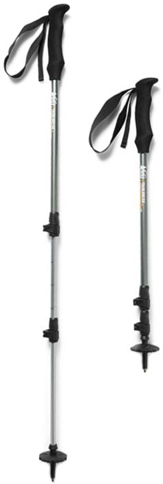 rei traverse trekking pole