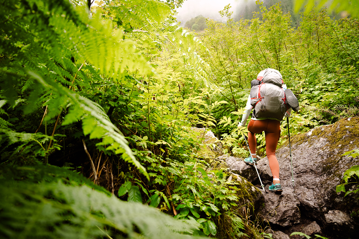 Trekking poles (backpacking with Black Diamond Pursuit)