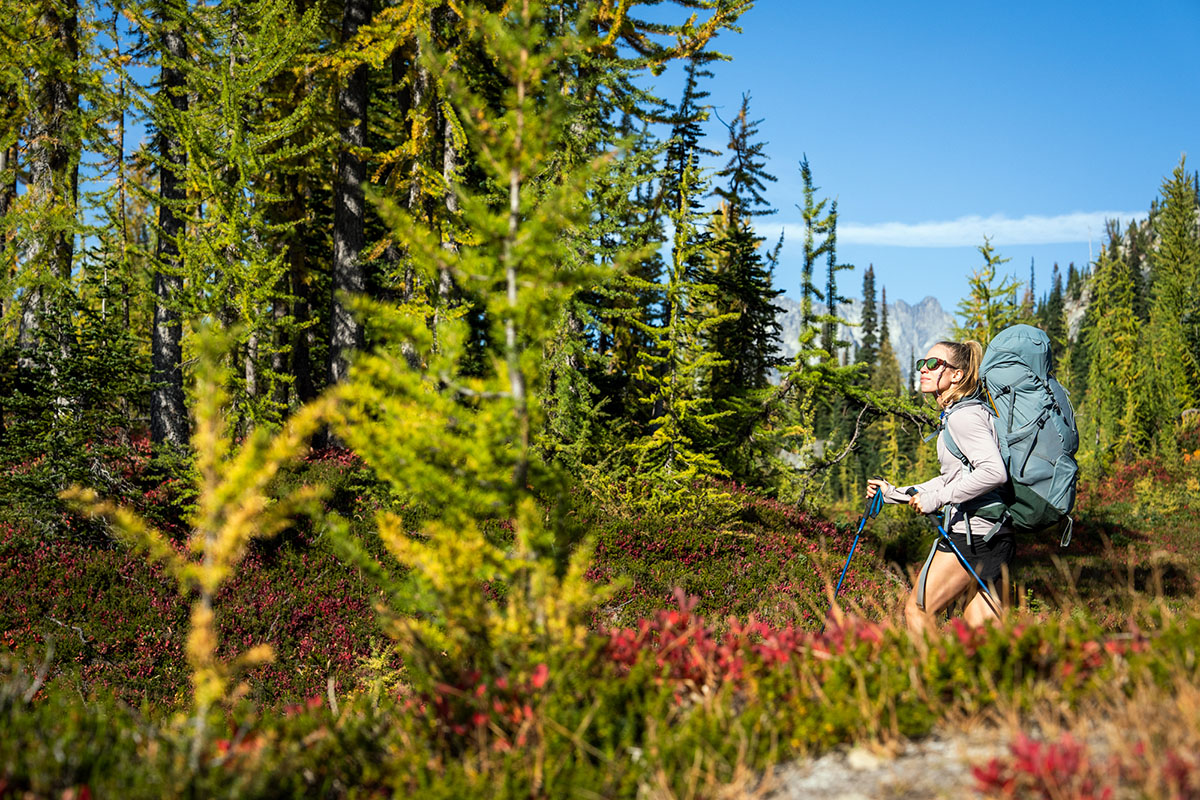 Trekking poles (backpacking with Black Diamond poles)