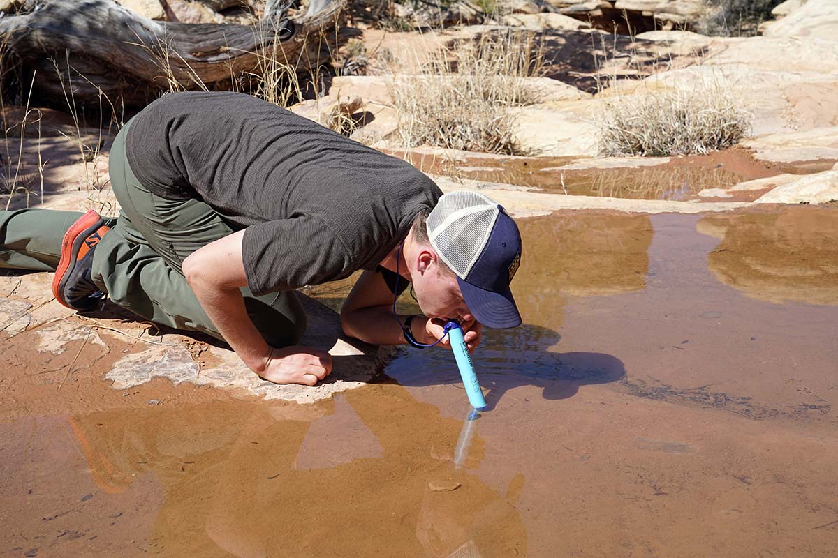 Backpacking Water Filters (LifeStraw straw filter)