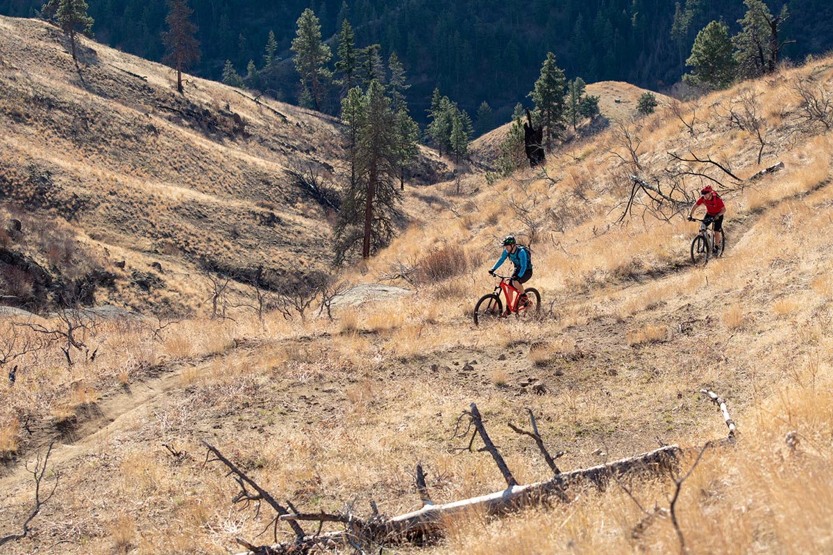 Mountain Bikes (XC riding)