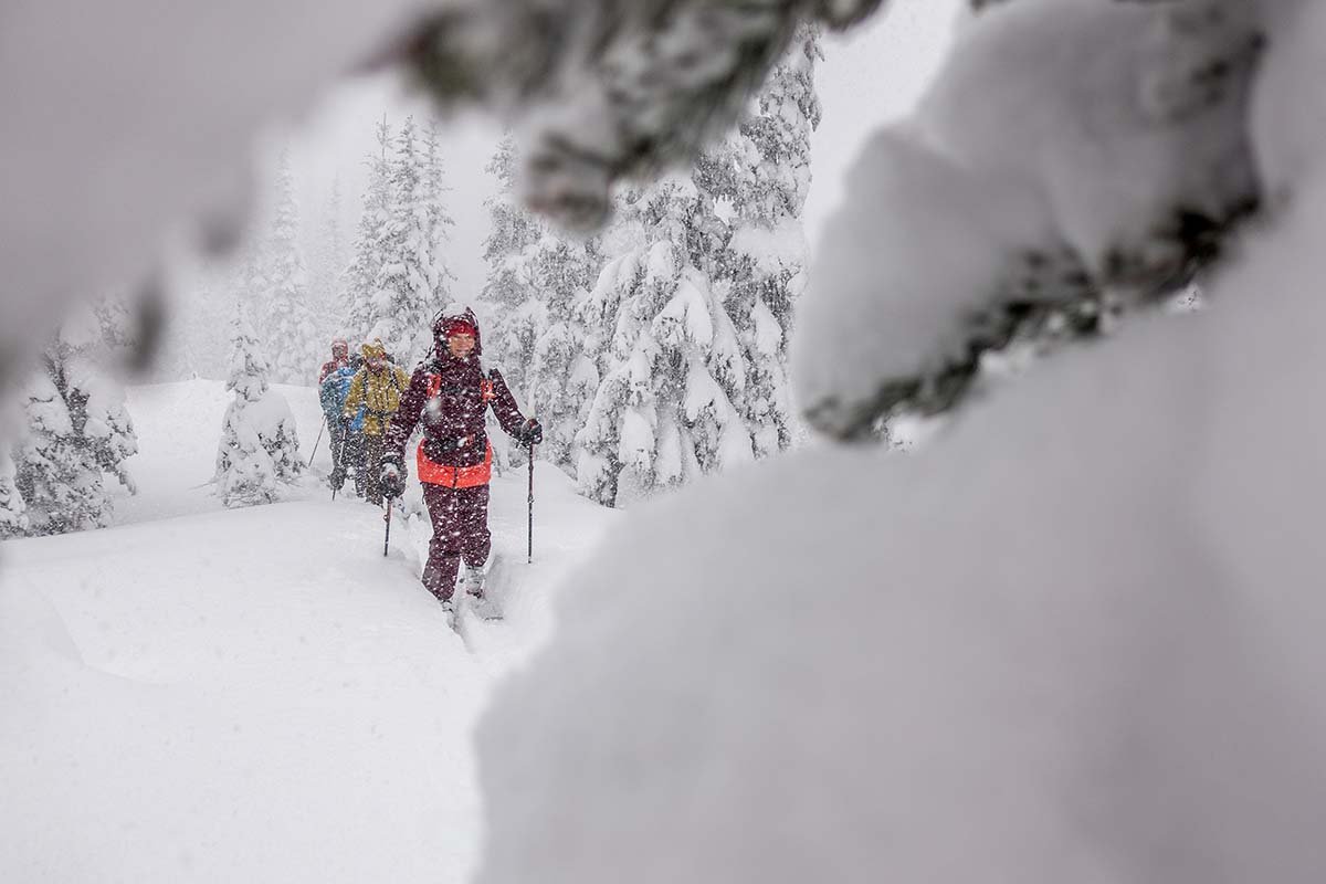 Ski brands (touring in deep snow)