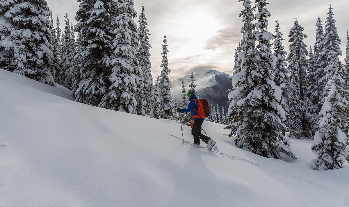 Downhill ski boots (skinning in the Atomic Hawx XTD)