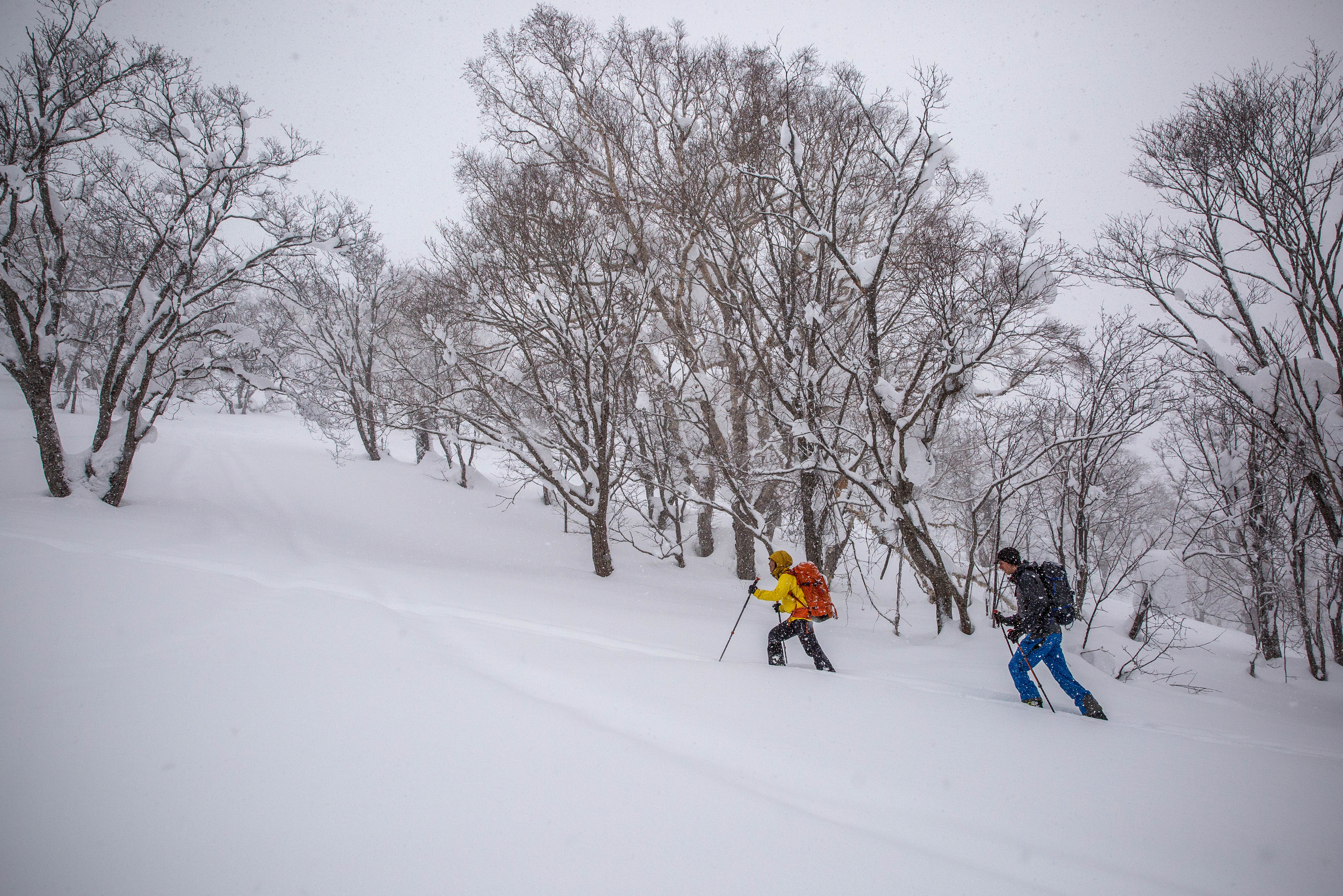 Ski Backpacks (uphill in Japan)