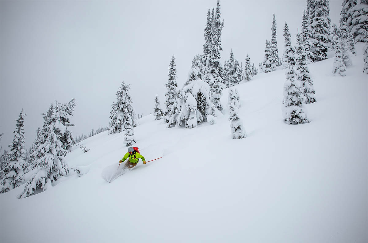 Ski gloves (backcountry skiing in powder)