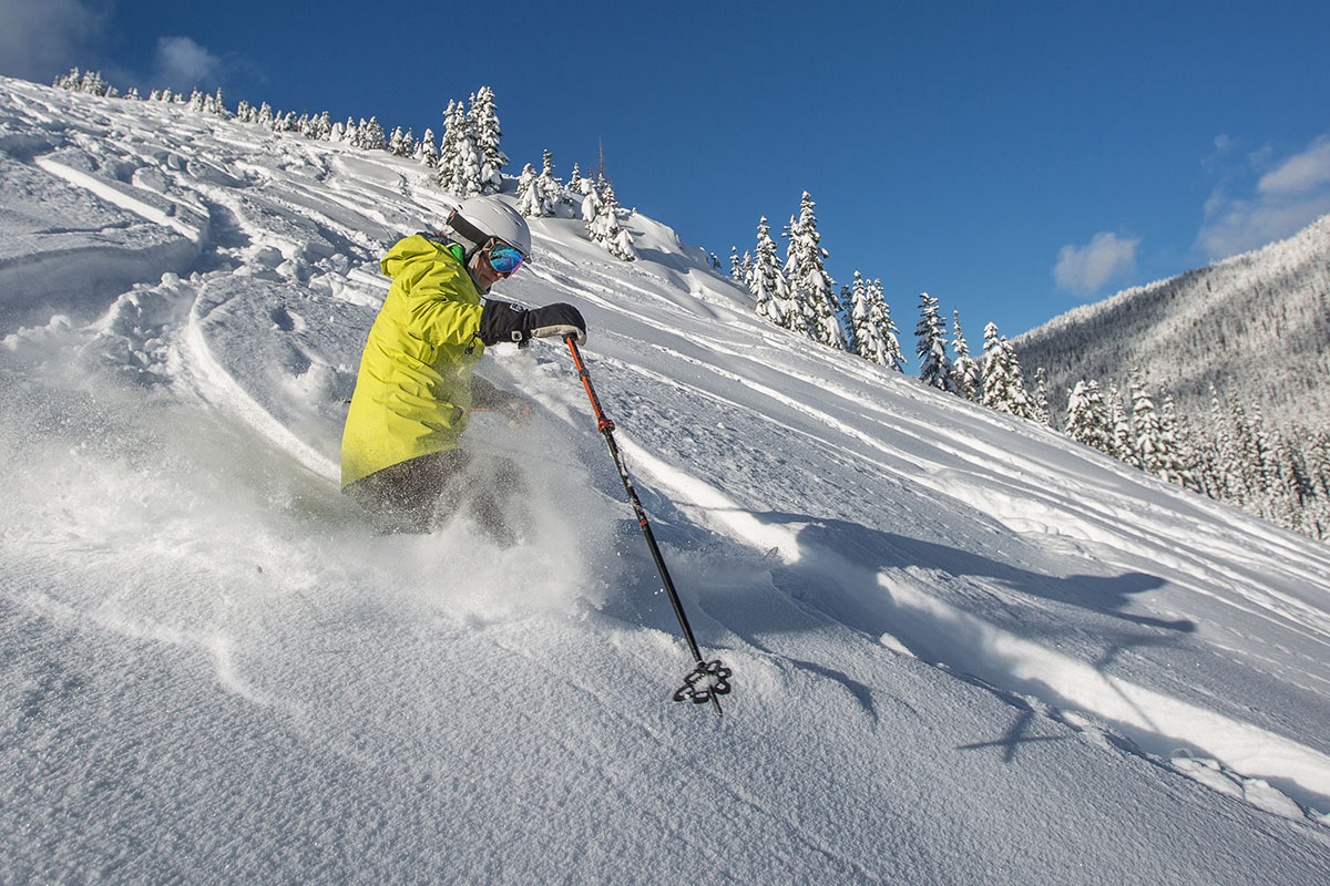 Ski poles (adjustable pole for backcountry skiing)
