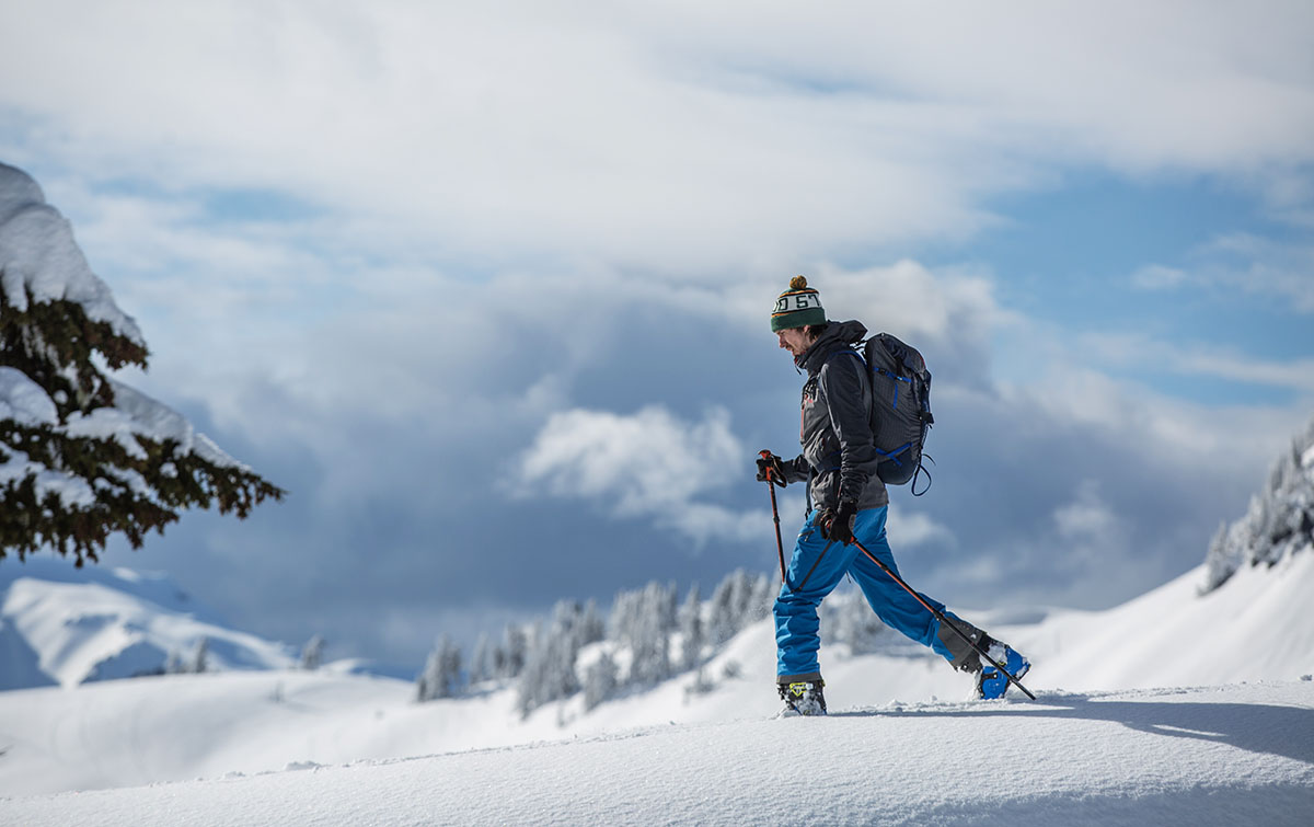 Ski poles (backcountry touring)