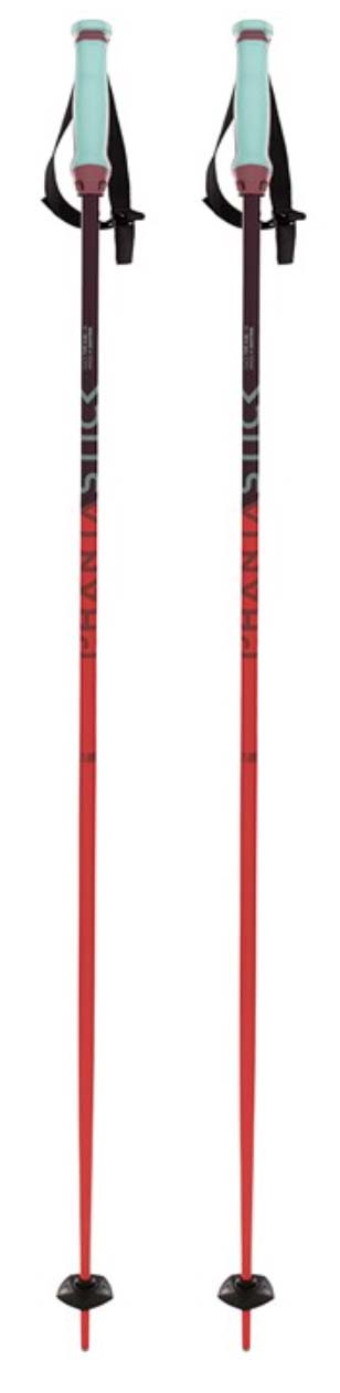 Volkl Phantastick ski poles_2