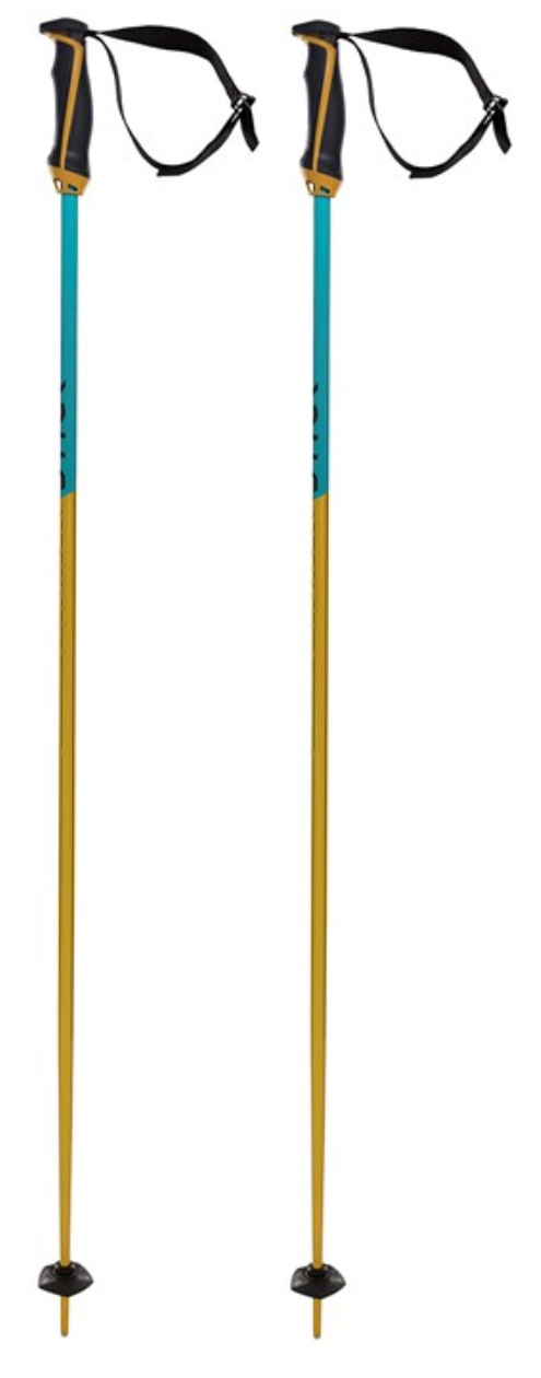 Volkl Phantastick ski poles