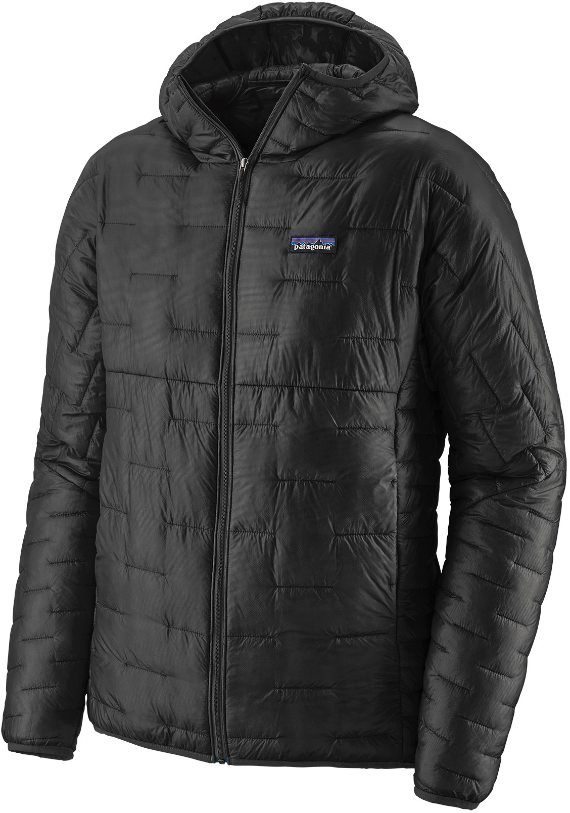 Patagonia Micro Puff Hoody Synthetic Jacket