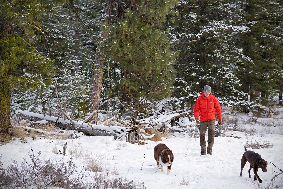 best winter dog walking boots