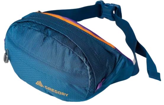 Gregory Nano fanny pack