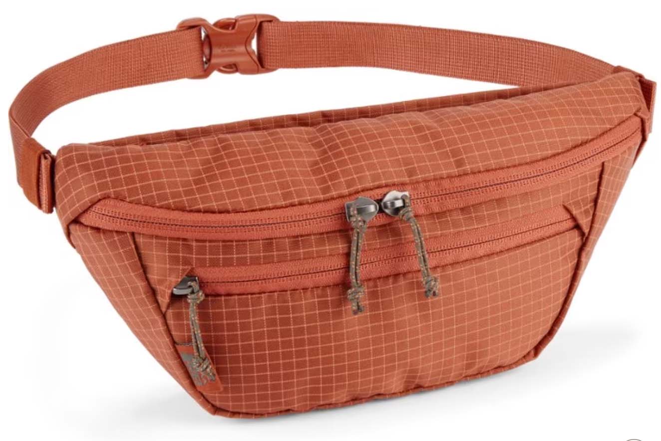 DAMML Women Belt Bags Checkered Fanny Packg Men Women Crossbody Fanny Pack Waist Bags,Bum Bags,Sling Fanny Packs,Fashion Pouch Pocket Travel Sport