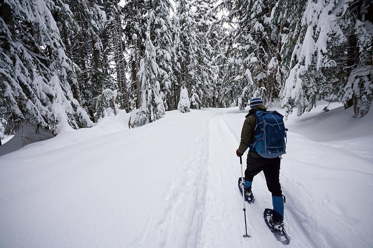 MSR Evo Trail (snowshoeing on groomed trail)