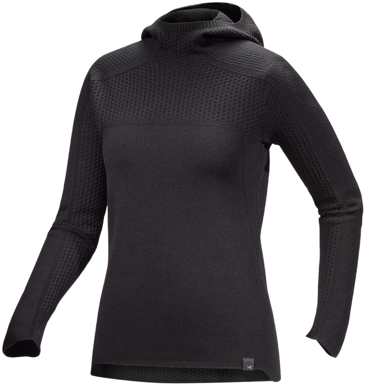 Arc'teryx Hallam Merino Wool Hoody women's baselayer_0