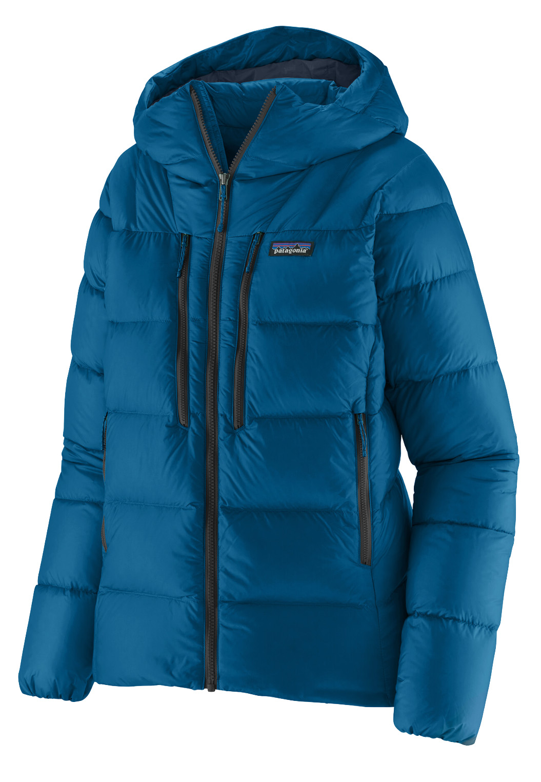 Patagonia Fitz Roy Hoody