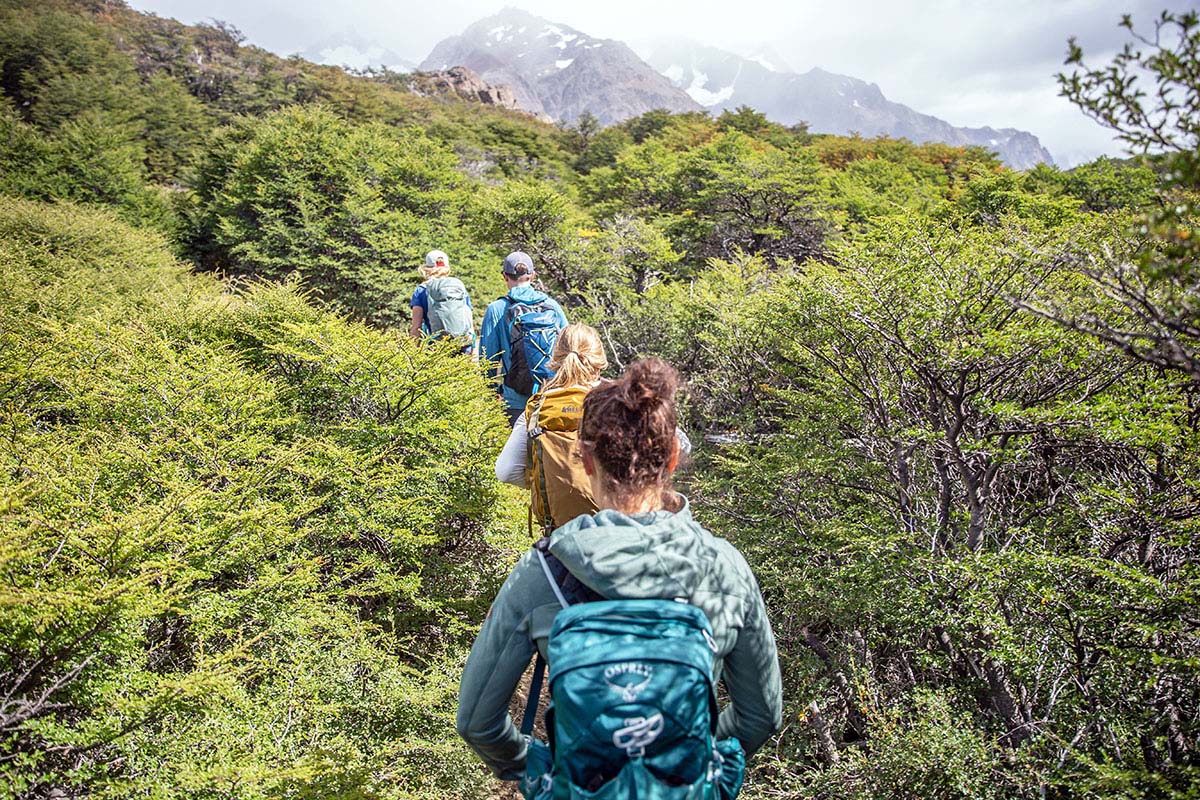 Hiking daypacks (hiking in lengua forest 2)